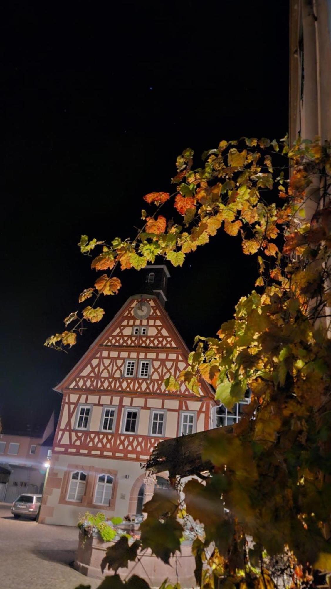 Brunnenputzer Pension Restaurant Kulsheim Esterno foto